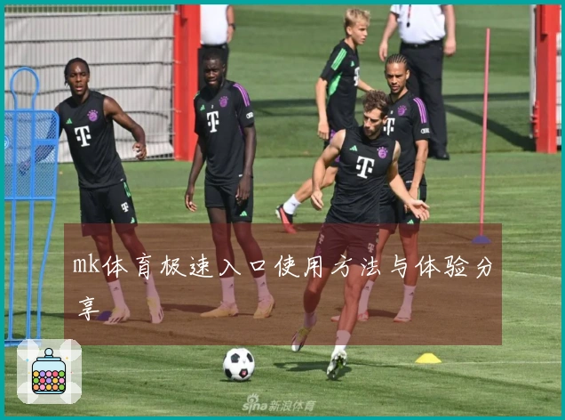 mk体育极速入口使用方法与体验分享